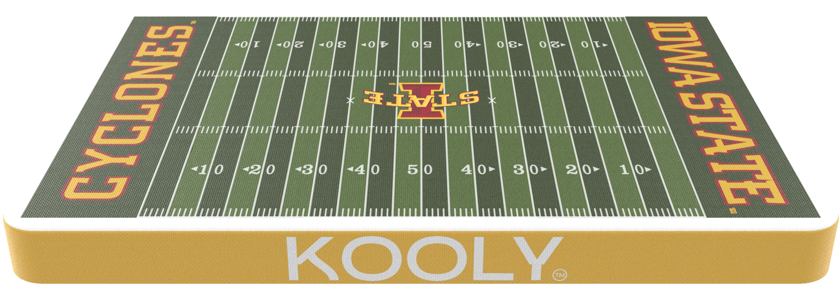 University of Iowa State Football Pad